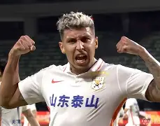 C7娱乐app-球员连续进球，助球队逆转比分胜出的简单介绍