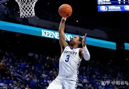 包含球员实力榜上有名，饱受期待备战国际大赛奋力拼搏的词条