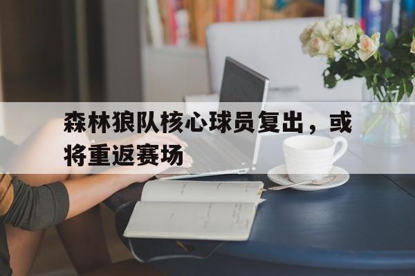 C7娱乐app-森林狼队核心球员复出，或将重返赛场的简单介绍
