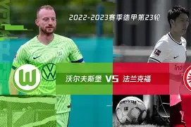 C7娱乐app-沃尔夫斯堡主场失利，联赛排名下滑的简单介绍